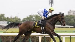 【WIN5予想】レパードSは前走の条件やキャリアに注目したい