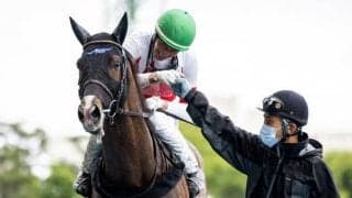 【エルムS予想】秋に飛躍を期す馬たちが集う真夏のダート王決定戦
