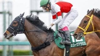 【エルムS予想】北海道ダートシリーズ好走馬は再度走る！人気サイドと中穴押さえで馬券を組め！