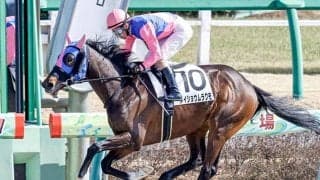 【レパードS・馬体重】メイショウムラクモは482kg(+12)、ホッコーハナミチは472kg(+8)