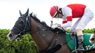 【勝負の分かれ目 エルムS】松田騎手が武器を引き出し、スワーヴアラミスが重賞2勝目