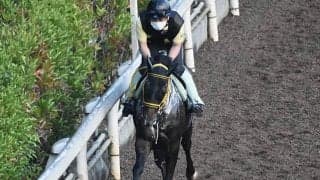 【エルムS】アメリカンシードは鼻出血を発症