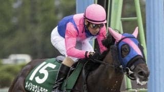 【レパードS】売上は48億5568万6400円で昨年からおよそ2億円の増加