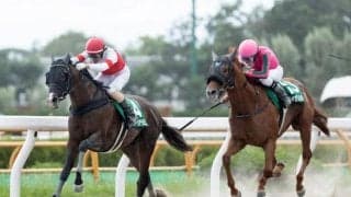 【エルムS】売上は50億2176万2500円で昨年からおよそ3億円の増加