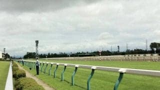 【関屋記念登録馬】ソングラインなど19頭が登録