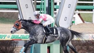 【クラスターC 14時時点オッズ】リュウノユキナが単勝2.6倍で1番人気、マテラスカイが3.5倍で続く