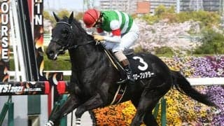 【先週のJRA抹消馬】リオンディーズの全弟グローブシアター、19年の新潟ジャンプS覇者マイブルーヘブンなど