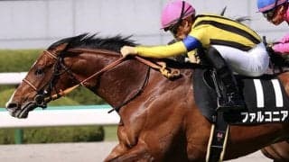 【小倉記念想定騎手】ファルコニアは川田将雅騎手、ヴェロックスは浜中俊騎手