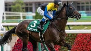 【小倉記念ハンデ確定】ヴェロックスはトップハンデ57.0kg、アールスターは56.0kg