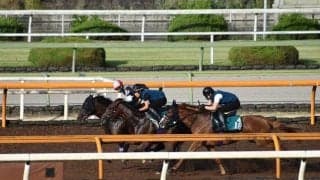 ヨーホーレイク半弟ダンテスヴューがデビュー/関西馬メイクデビュー情報