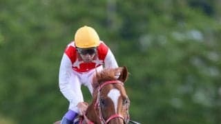 【クラスターC】武豊「若干太めがあったのかも」マテラスカイは5着