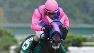 【レパードS】柴田善「100%関係者の力」メイショウムラクモがV