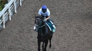 ルイナールカズマなど、先週のゲート試験/栗東トレセンニュース