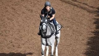 カレンモエなど、先週の入厩情報/栗東トレセンニュース