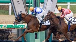 【門別競馬情報】今季創設「準重賞」競走は今夜が初戦！久々施行の2600m、実績＆長距離適性に秀でるサンビュート、ステージインパクトらに注目「しんひだかオープン」/地方競馬情報
