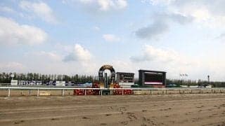 クラスター発生の金沢競馬　11日から場外発売、15日から本場開催を再開へ