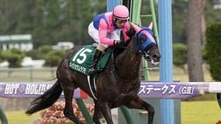 ダートでも活躍馬を出すネオユニヴァース産駒メイショウムラクモの今後に要注目