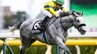 【関屋記念予想】前走大敗からの巻返しある！ AIはキャリア浅めのベテランを激穴候補に指名/JRA重賞レース展望