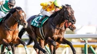 【関屋記念展望】サマーマイルシリーズ第3弾、あの馬に期待したい