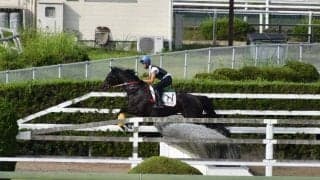 アメリカズカップ、障害参戦に向けて調整中/栗東トレセンニュース