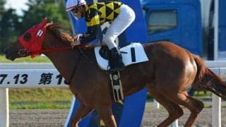 【門別競馬情報】無敗馬3頭、2勝馬も4頭のハイレベルな争い！先行するアマクミナイデヨ、スティールルージュらが押し切るか。先行激化で追い込み勢の台頭も「第8回フルールカップH3」/地方競馬情報