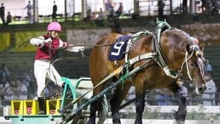 5日間で重賞8レース！地方競馬は週末まで注目レース目白押し