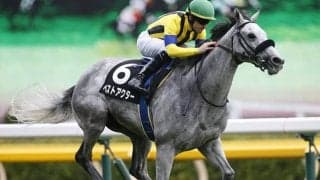 【AI予想】大穴を狙う前提での予想は得策でない関屋記念　AI指名馬の懸念材料は？