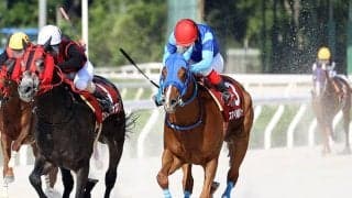 【大井・黒潮盃】兵庫ダービーを制したスマイルサルファーなど　地方他地区所属馬の騎乗予定騎手が発表