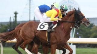 【船橋・リバーサイドアイドル特別結果】笹川翼騎手騎乗の6番人気ドリームプリンスが勝利