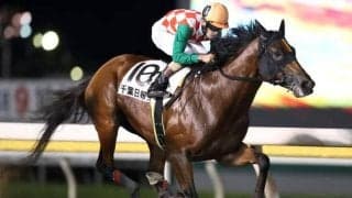 【船橋・千葉日報賞結果】矢野貴之騎手騎乗のスマイルウィが人気に応えて勝利