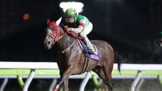 【ブリーダーズGC見どころ】交流重賞3勝のマルシュロレーヌ、重賞初制覇を狙うリネンファッションなどが出走