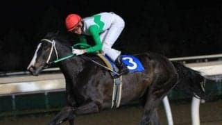 【門別競馬情報】今夜はダブル重賞！マルシュロレーヌ中心にJRA勢の争いか「第33回ブリーダーズゴールドカップJpnIII」。そして最終12Rはトップスプリンターほぼ勢揃い「第21回エトワール賞H3」/地方競馬情報