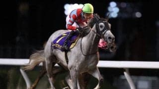 【ブリーダーズゴールドC】レーヌブランシュが競走除外、サイファリスが出走取消