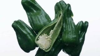 ピーマンの驚くべき効果効能とおいしい食べ方