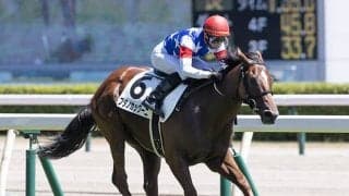 ユニークな名前の馬たち/島田明宏