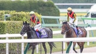 【関屋記念】ソングライン　惜敗をバネに、真夏の新潟で秋の飛躍を期す