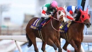 【ブリーダーズGC 18時時点オッズ】マルシュロレーヌが単勝1.7倍で1番人気、メモリーコウが2.8倍で続く