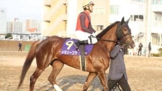 【ブリーダーズGC 馬体重】メモリーコウは470kg(-2)、アッシェンプッテルは512kg(-10)