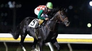 【船橋・アフター☆ウィーク賞結果】矢野貴之騎手騎乗のマグナレガーロが圧倒的支持に応え勝利「普通に重賞級」