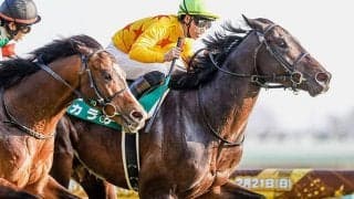 【関屋記念】カラテ重賞2勝目なるか　菅原明良騎手との“相棒”コンビで巻き返しを狙う