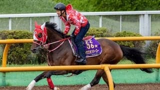 【札幌記念想定】ラヴズオンリーユーは川田将雅騎手、トーラスジェミニは横山和生騎手