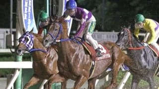 【園田・摂津盃結果】エイシンデジタルが追い込み決め重賞初制覇