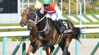 【小倉記念予想】10頭立てのハンデ戦で去年並みの波乱ある!? 前走惜敗の上位人気馬が消去データに！/JRAレース展望 