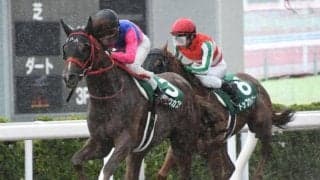 【本日の注目ポイント】新潟・小倉・札幌の3場開催　藤田晋氏所有馬デビューなど