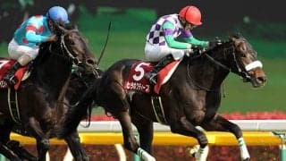 新種牡馬ヒラボクディープ国内唯一の産駒がデビュー、日曜新潟5Rのヒラボクレガシー