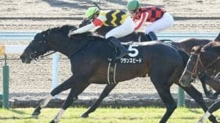 小倉記念は格下の軽ハンデ馬に注目。過去の好走データに通じる２頭がオススメ