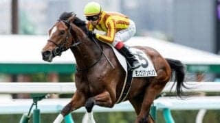 【札幌5R新馬戦結果】外国産馬モンゴリアンキングが押し切って快勝