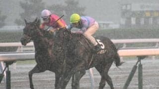 【フェニックス賞結果】ナムラクレアが押し切りV サイバー藤田氏所有のデュガは3着