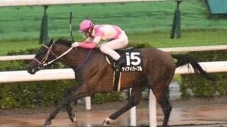 【阿蘇S結果】伏兵ケイアイパープルが5馬身差圧勝でオープン初V