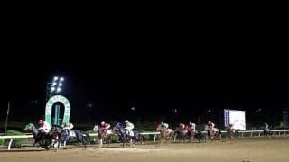 【地方競馬】佐賀競馬は明日15日も開催中止、来週末に代替開催